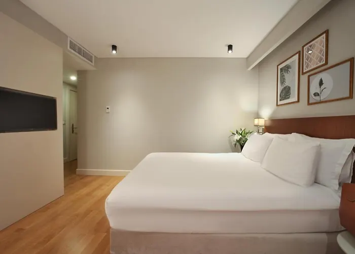 Suadhan اسطنبول